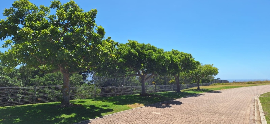 0 Bedroom Property for Sale in Baron View Western Cape